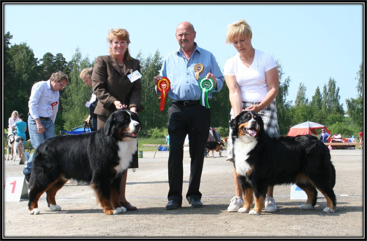Dragongrdens Kennel